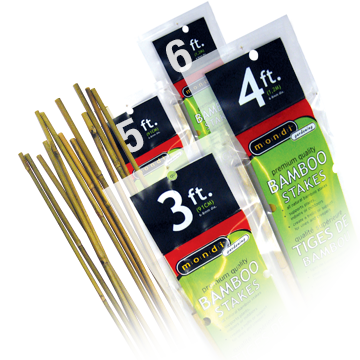Bamboo Stakes - 10mm 6ft - 20 pack