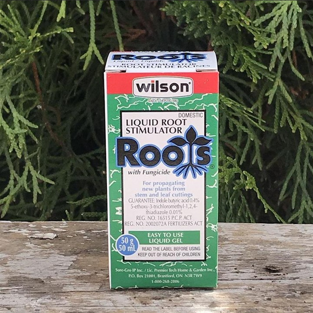 Wilson Roots