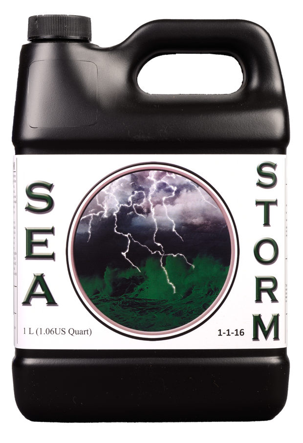 HOG Sea Storm