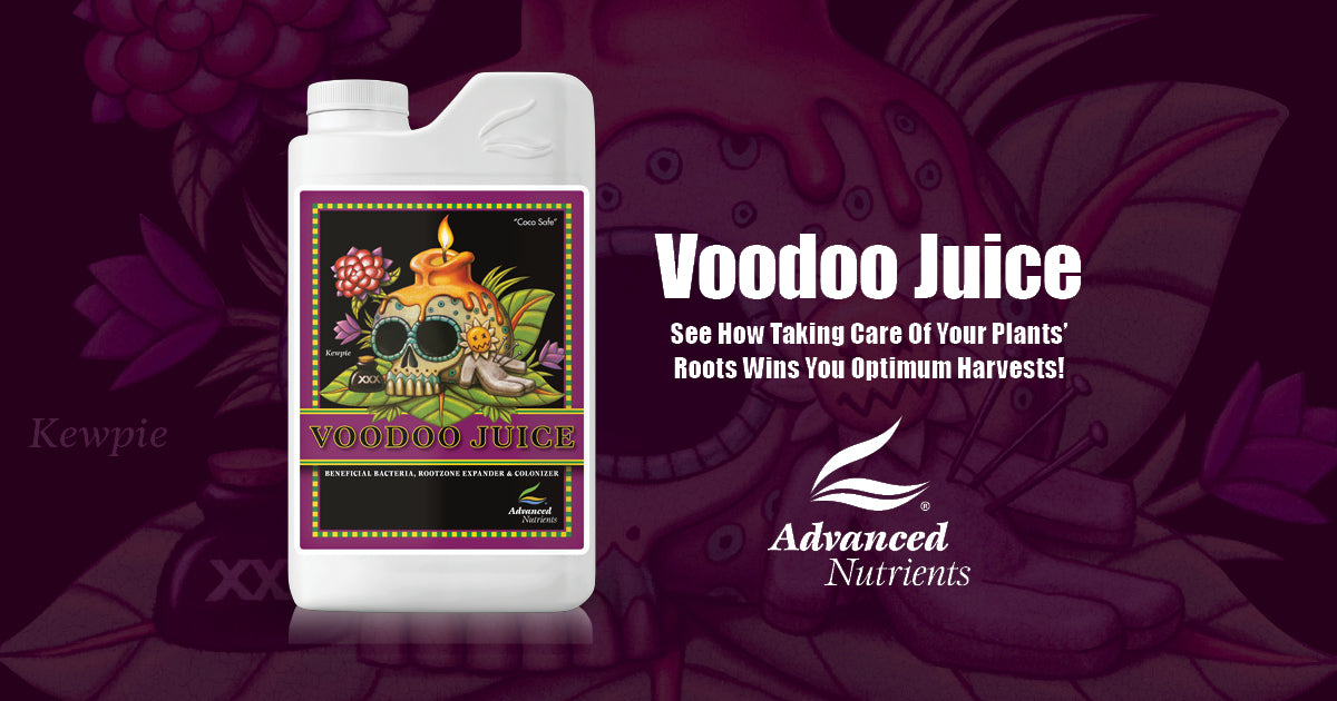 Voodoo Juice – Mr. Fertilizer