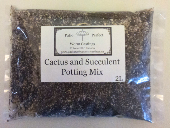 Patio Perfect Cactus & Succulent Mix 2L