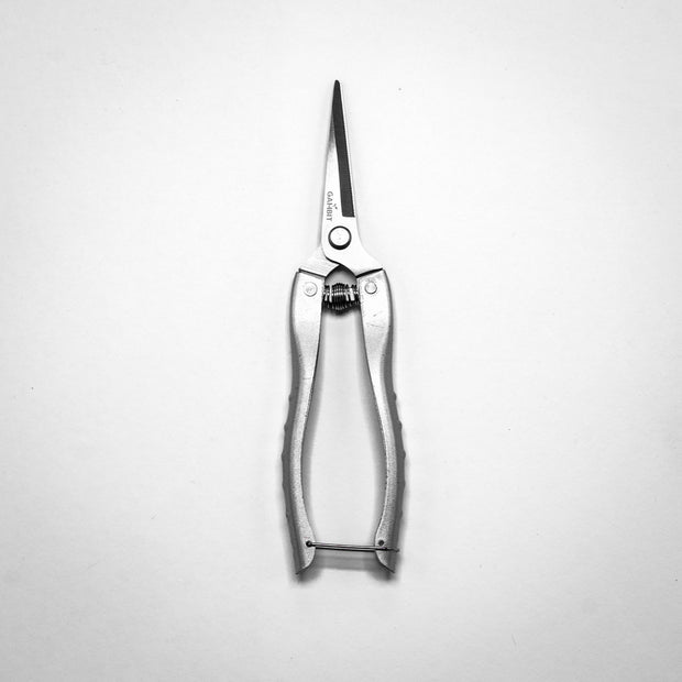 Scissors