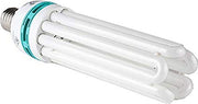 SunBlaster CFL - 6400K - 125W *Special Order*