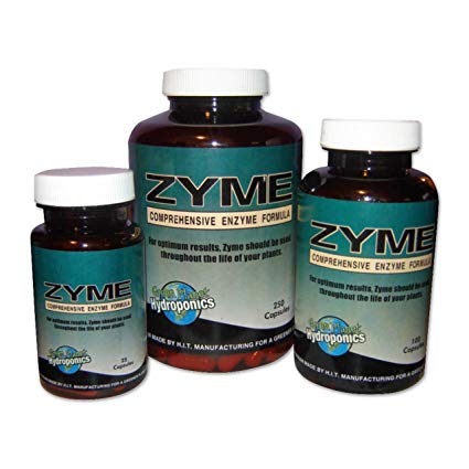 Zyme Comprehenzive Enzyme Formula 250 pills