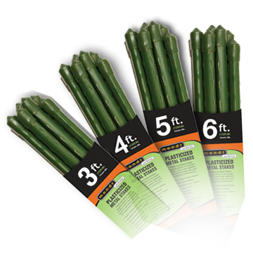 Metal Bamboo Stakes - 8mm 6ft 10 pack