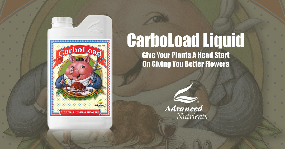 その他 Carboload CarboLoad *Special Order* – Mr. Fertilizer